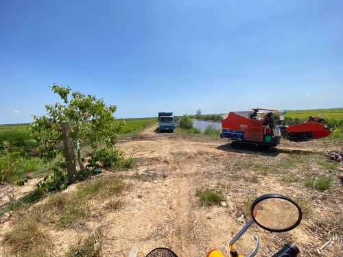 ដី ផ្ទាល់ខ្លួនលក់បន្ទាន់ក្រោមទីផ្សា
