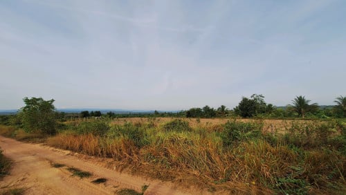 ផ្លង់រឹង