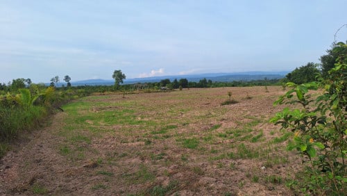 ផ្លង់រឹង