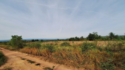 ផ្លង់រឹង
