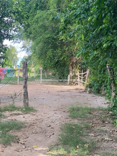 ដីដីលក់ប្លឹងរឹងមិនជាប់ធនាគារនៅអង្គស្នួល 20000$ ចចារ