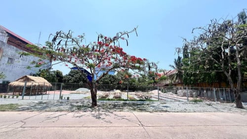 ដីសម្រាប់ជួល 40x30 តម្លៃចរចា