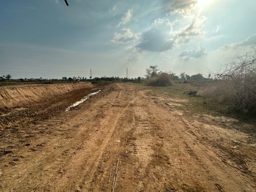 ដីលក់ផ្លូវ42