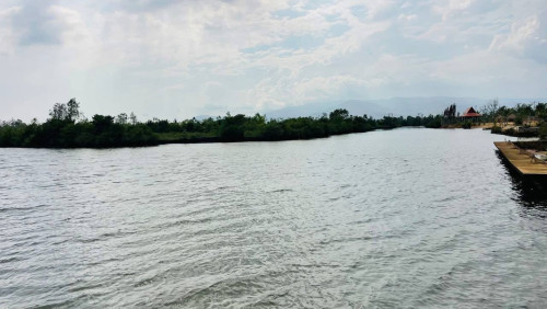 ដីកោះលក់-ឃុំកំពង់សំរោង, ស្រុកទឹកឈូ, ខេត្តកំពត | Land for Sale - Teuk Chhou District, Kampot