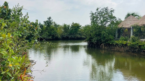 ដីកោះលក់-ឃុំកំពង់សំរោង, ស្រុកទឹកឈូ, ខេត្តកំពត | Land for Sale - Teuk Chhou District, Kampot
