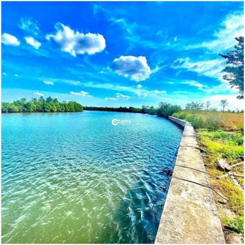 🌿 ដីលក់ជាប់មាត់ស្ទឹងសងខាង / 🌿 Riverfront Land for Sale – Both Sides Touching the Stream!
