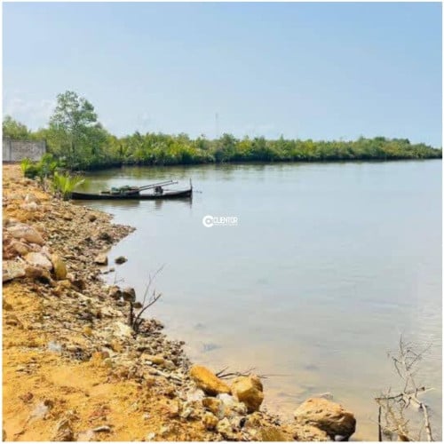 🌿 ដីលក់ជាប់មាត់ស្ទឹងសងខាង / 🌿 Riverfront Land for Sale – Both Sides Touching the Stream!
