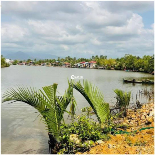 🌿 ដីលក់ជាប់មាត់ស្ទឹងសងខាង / 🌿 Riverfront Land for Sale – Both Sides Touching the Stream!