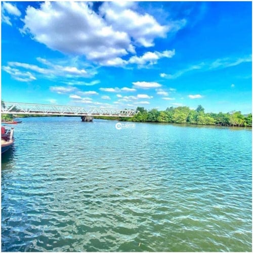 🌿 ដីលក់ជាប់មាត់ស្ទឹងសងខាង / 🌿 Riverfront Land for Sale – Both Sides Touching the Stream!