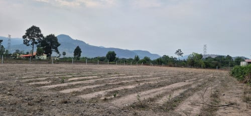 Beautiful Land Kampot for Sale