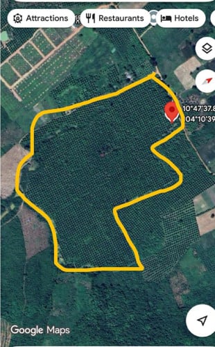 land for sale