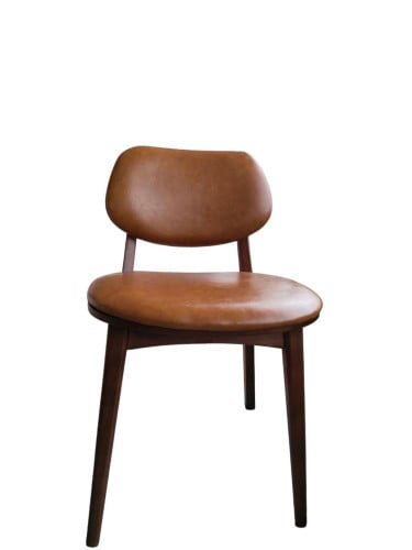 Leather Chair កៅអីប៉ុងស្បែក