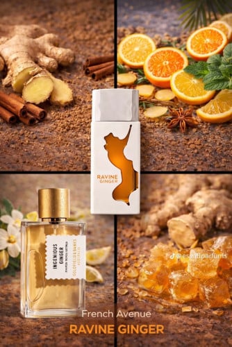 Ravine Ginger