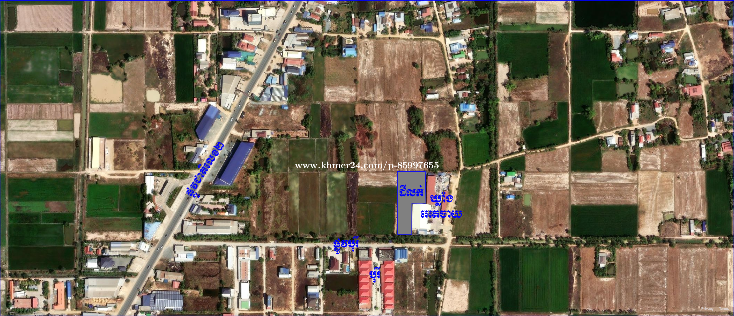 ដីលក់ផ្លូវជាតិលេខ២