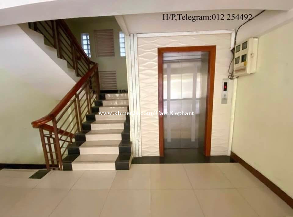 Nice Fully Furnished Elevator Apartment for Rent