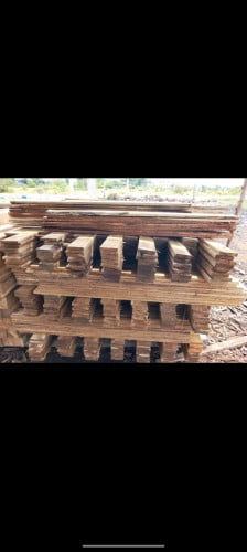 មានគ្រប់ខ្នាត