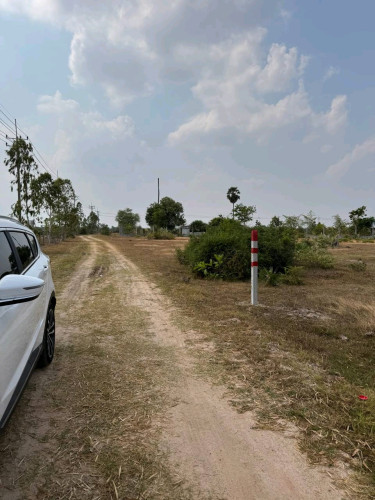 ដីលក់តំលៃល្អ លក់ក្រោមទីផ្សា