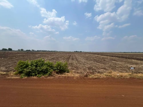 ដីលក់ ក្បាល100m*60m Telegram 066 504444