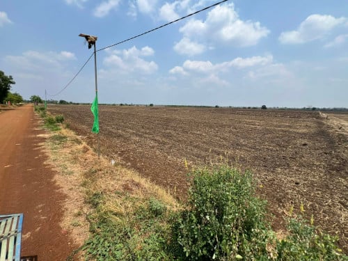 ដីលក់ ក្បាល100m*60m Telegram 066 504444