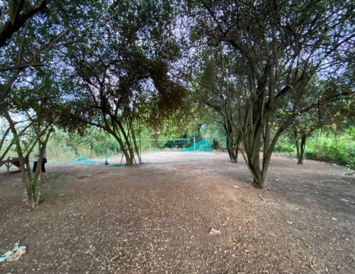 ដីនៅច្បារអំពៅសម្រាប់លក់ Land for sale in Chbar Ampov