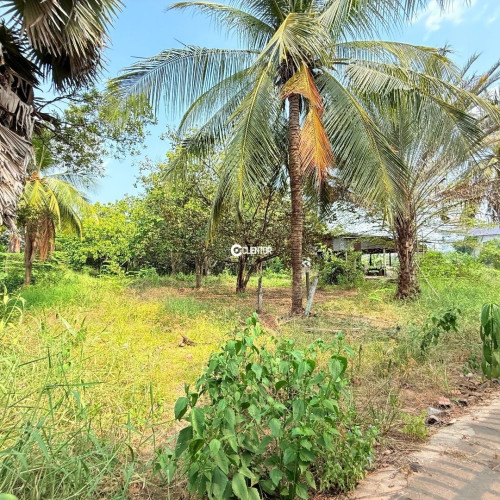 ដីលក់ វាលស្បូវ, ខណ្ឌច្បារអំពៅ, ភ្នំពេញ | Land For Sale Veal Sbov, Chbar Ampov, Phnom Penh