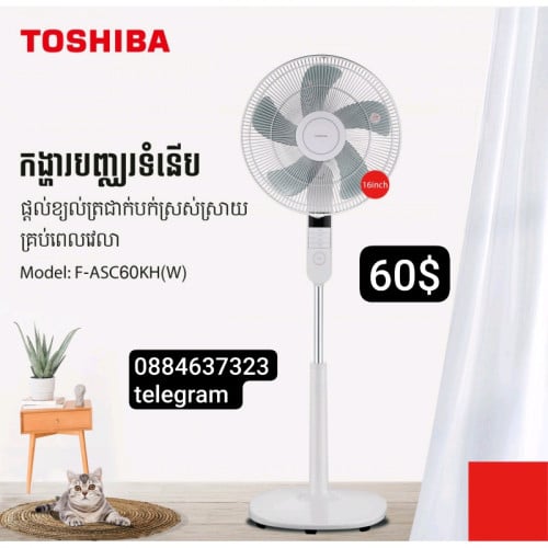 មានលក់កង្ហារ Toshiba មានតេលេ