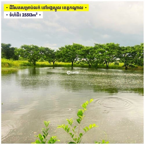 🌿 ដីលក់បន្ទាន់ ស្រុកអង្គស្នូល ខេត្តកណ្តាល - For Urgent Sale, Angsnoul District, Kandal