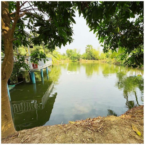 🌿 ដីលក់បន្ទាន់  ស្រុកអង្គស្នូល ខេត្តកណ្តាល - For Urgent Sale, Angsnoul District, Kandal
