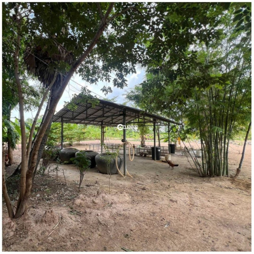 🌿 ដីលក់បន្ទាន់  ស្រុកអង្គស្នូល ខេត្តកណ្តាល - For Urgent Sale, Angsnoul District, Kandal