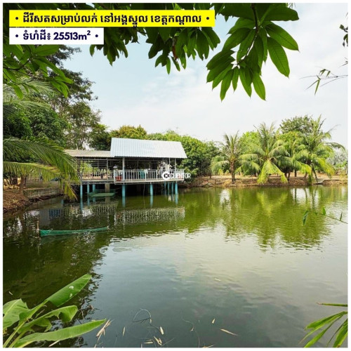 🌿 ដីលក់បន្ទាន់  ស្រុកអង្គស្នូល ខេត្តកណ្តាល - For Urgent Sale, Angsnoul District, Kandal