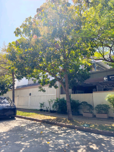 ផ្ទះលក់ Villa ភ្លោះ ផ្ទះនៅកែងផ្លូវ ( ចចារបានទៀតបងៗ )