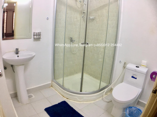 1 Bed 1 Bath Fully Furnished Apartment for Rent