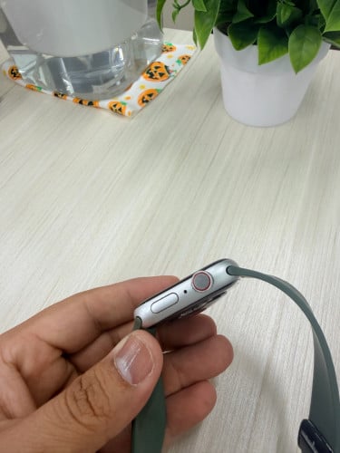 I watch series 5 44 mm LTE use sim