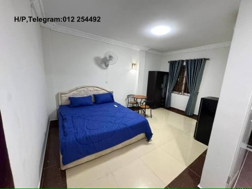 Nice Fully Furnished Elevator Apartment for Rent