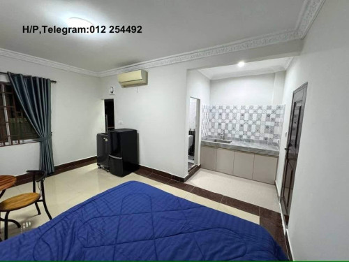 Nice Fully Furnished Elevator Apartment for Rent
