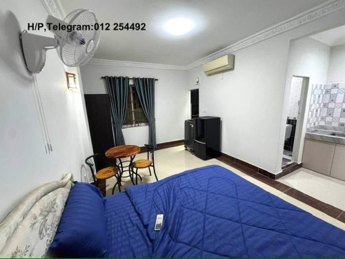 Nice Fully Furnished Elevator Apartment for Rent
