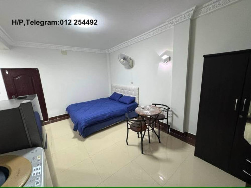 Nice Fully Furnished Elevator Apartment for Rent