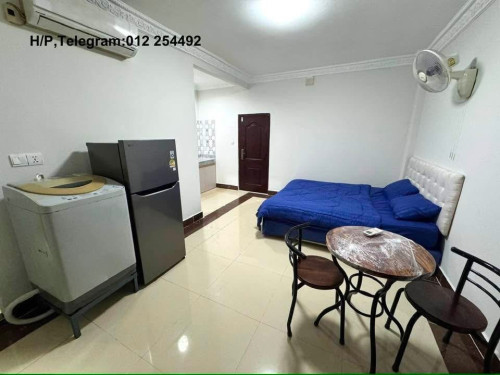 Nice Fully Furnished Elevator Apartment for Rent