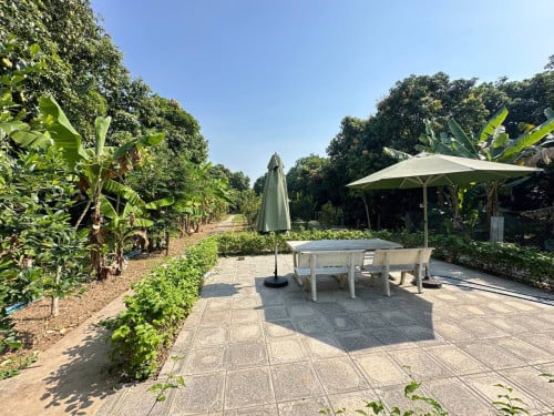 ដីលក់បន្ទាន់ នៅក្រុងអរិយក្សត្រ
