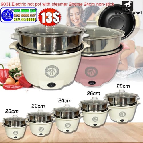 ឆ្នាំងស៊ុបអគ្គិសនី