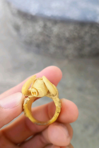 ចញ្ចៀនសាងពីភ្លុកដំរី​