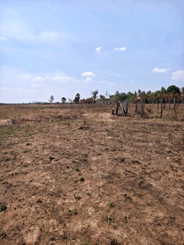ដី៣ហិកតា ត្រពាំងក្រឡឹង ផ្លូវជាតិ៤