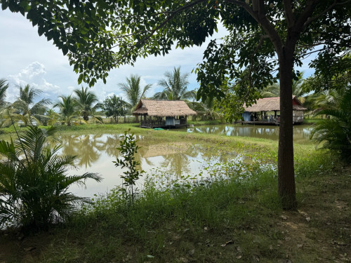 ដីហាង លក់នឹងជួល