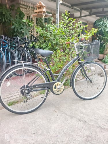 កង់ជជុះជប៉ុន ប្រើដុំភ្លើងអូតូ