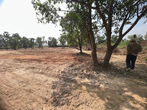 ដីលក់បន្ទាន់(នៅជិតផ្សារផ្អាវ នៅភូមិផ្អាវ)