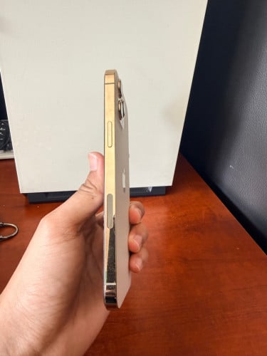 លក់​ IPhone 12 Pro Max