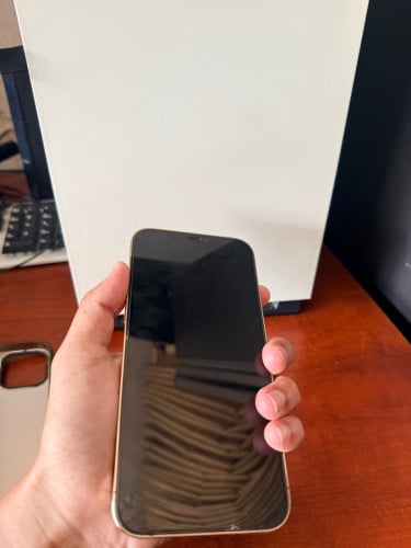 លក់​ IPhone 12 Pro Max
