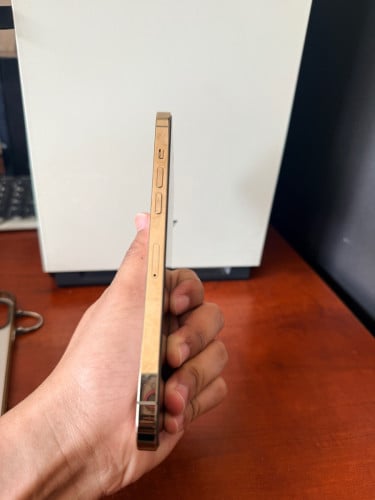 លក់​ IPhone 12 Pro Max