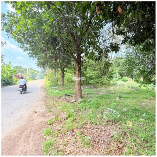 ដីលក់ សង្កាត់វាលស្បូវ, ខណ្ឌច្បារអំពៅ, ភ្នំពេញ | Land For Sale Veal Sbov, Chbar Ampov, PP
