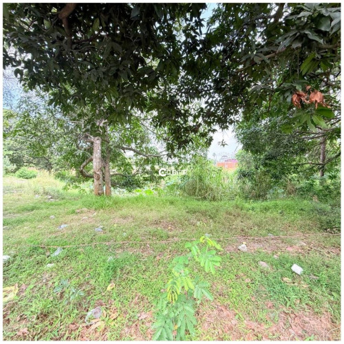 ដីលក់ សង្កាត់វាលស្បូវ, ខណ្ឌច្បារអំពៅ, ភ្នំពេញ | Land For Sale Veal Sbov, Chbar Ampov, PP